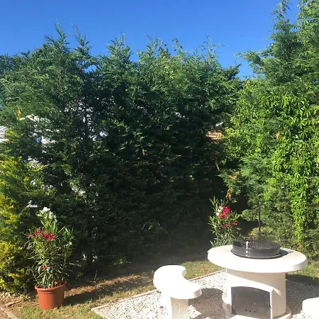 Eden Garden Zamardi